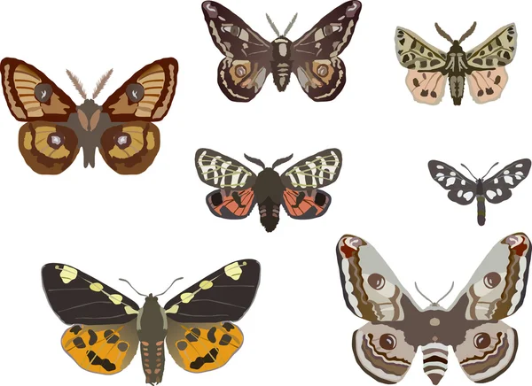 Sieben Schmetterlinge — Stockvektor