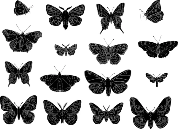 Butterfly silhouettes collection — Stock Vector