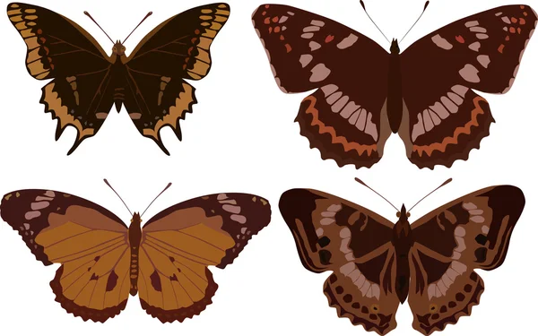 Vier dunkle Schmetterlinge — Stockvektor