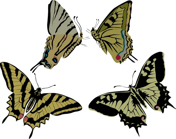 Quatro borboletas amarelas — Vetor de Stock