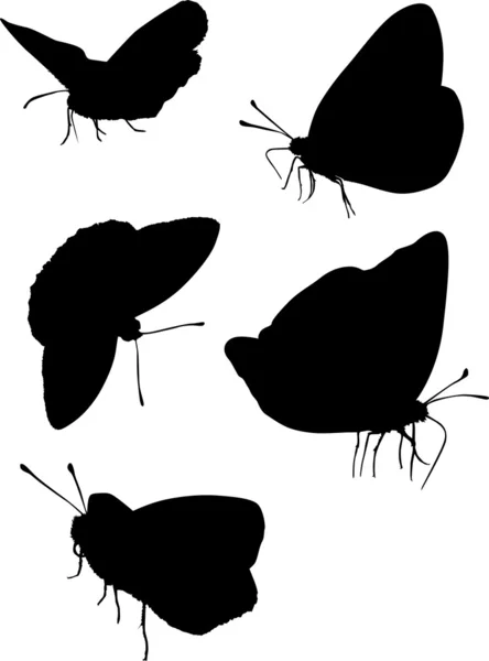 Five butterfly silhouettes — Stock Vector