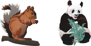 Squirrel and panda clipart