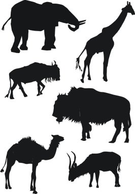 Savanna wildlife collection clipart