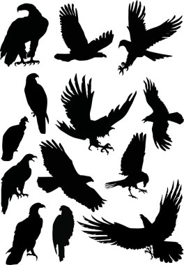 Thirteen eagle silhouettes clipart