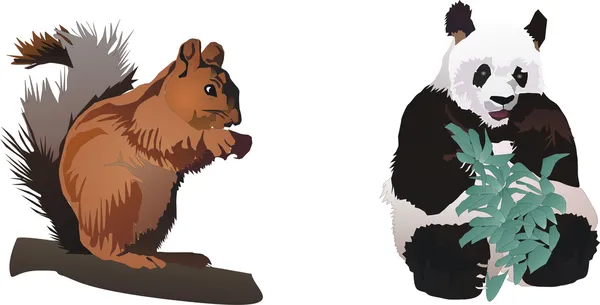 Squirrel and panda — Stock Vector