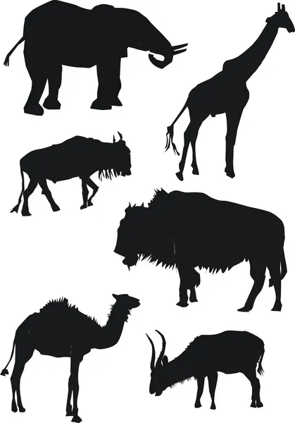 Kolekcja dzikie zwierzęta sawanny — Wektor stockowy