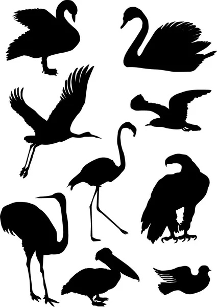 Fågel silhuetter samling — Stock vektor