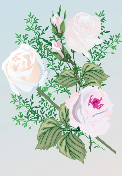 Three white rose flowers — Stock Vector