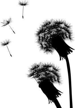 Two dandelion silhouettes clipart