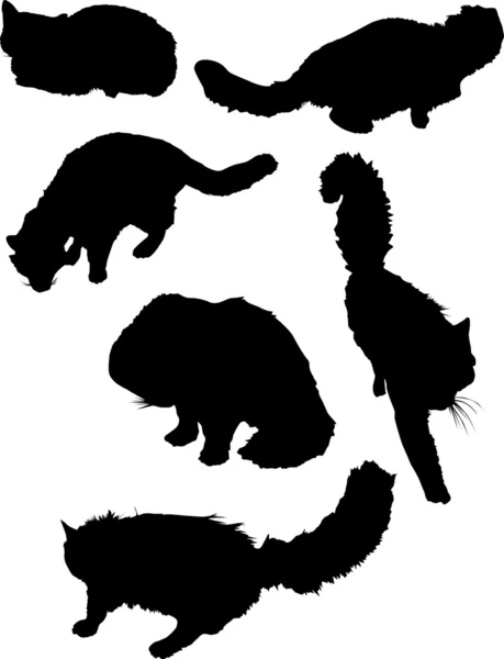 Šest kočka siluety — Stockový vektor