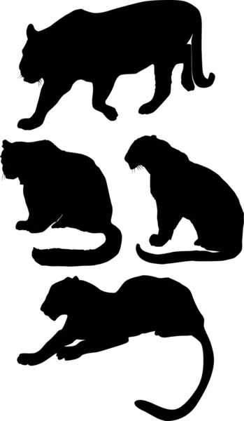 Dört büyük kedi silhouettes — Stok Vektör
