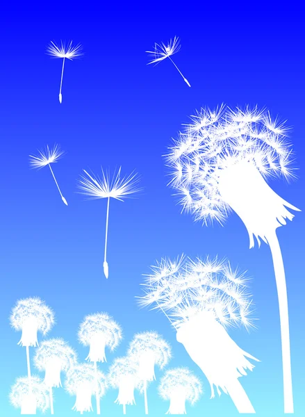 Beyaz dandelions ve mavi gökyüzü — Stok Vektör