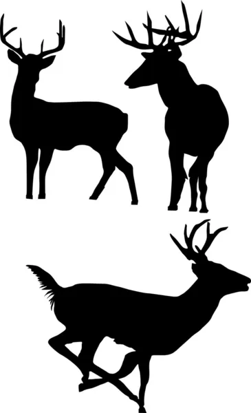 Sylwetki jeleni na białym tle — Wektor stockowy