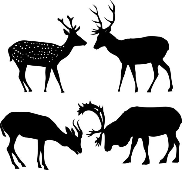 Čtyři jeleny siluety — Stockový vektor