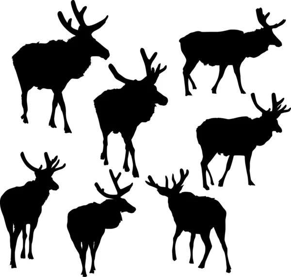 Seven deer silhouettes — Stock Vector