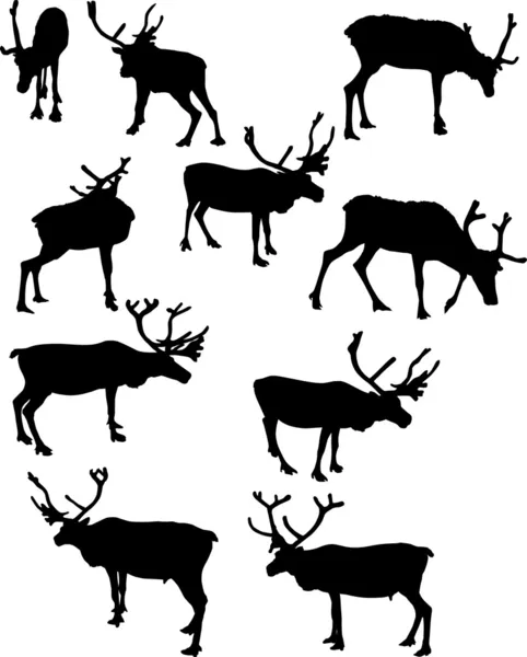 Dix silhouettes de rennes — Image vectorielle