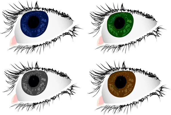 Négy szín asszony szeme — Stock Vector