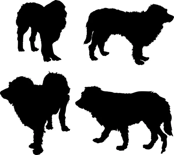 Dört köpek silhouettes — Stok Vektör