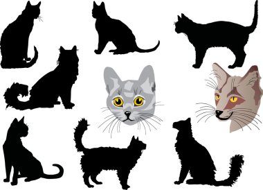 Cat portraits and silhouettes collection clipart