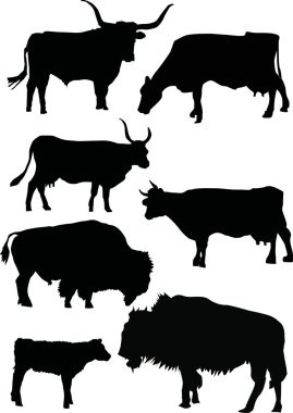 Buffalo and cow silhouettes clipart