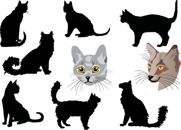 Cat portraits and silhouettes collection — Stock Vector