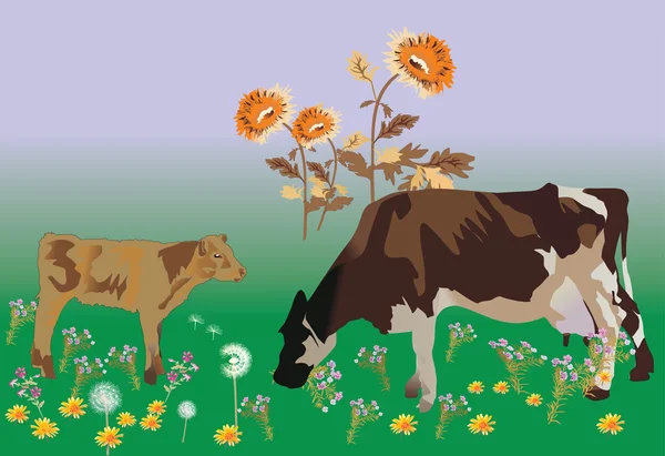 Kühe auf Feld mit Blumen — Stockvektor