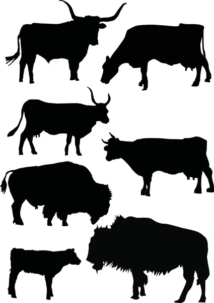 Buffalo ve inek silhouettes — Stok Vektör