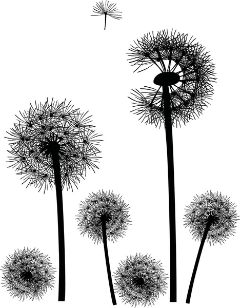 Black dandelions on white — Stock Vector
