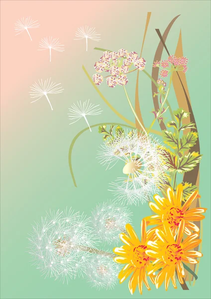 Dandelions beyaz ve sarı çiçek — Stok Vektör