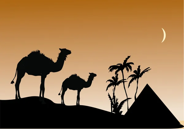 Camellos en el desierto — Archivo Imágenes Vectoriales