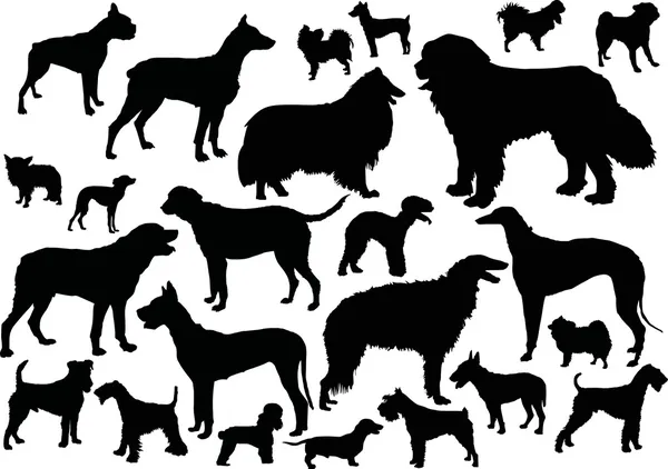 Veinticuatro siluetas de perro — Vector de stock