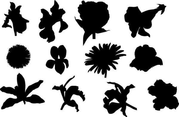 Flowers silhouettes isolated on white — Stock Vector