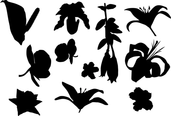 Eleven flower silhouettes — Stock Vector