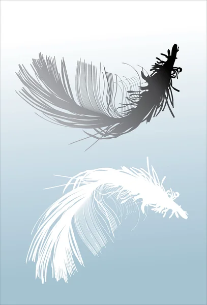 黑色和白色的羽毛 — 图库矢量图片