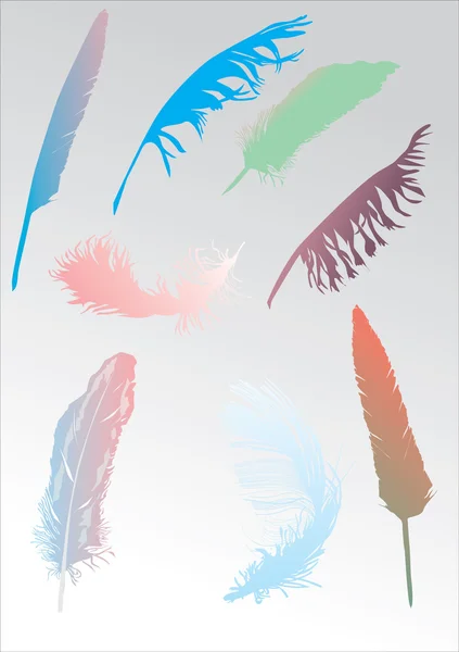 Иллюстрация коллекции цветных перьев — стоковый вектор