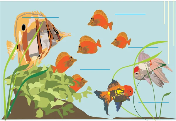 Aquarium and fish — Stock Vector