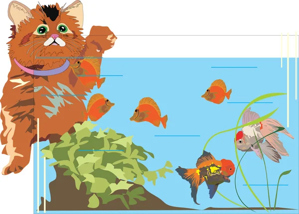 Katt och fisk i akvarium — Stock vektor