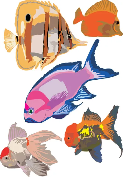 魚のコレクション — ストックベクタ