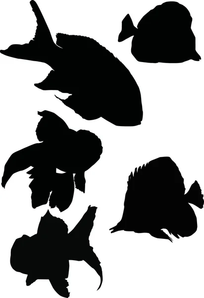 Exotic fish silhouettes — Stock Vector