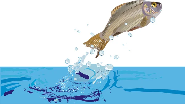 Illustration avec des poissons — Image vectorielle