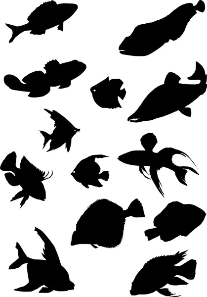 Sammlung von Fischsilhouetten — Stockvektor