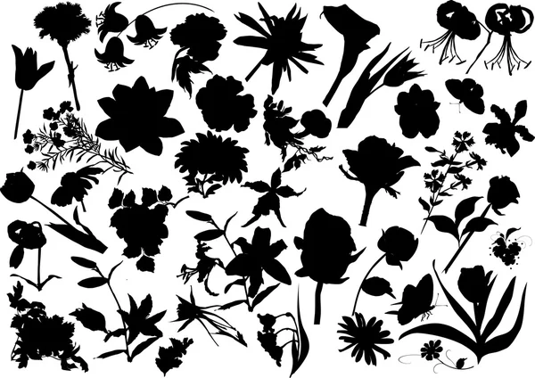 34 Blumensilhouetten — Stockvektor