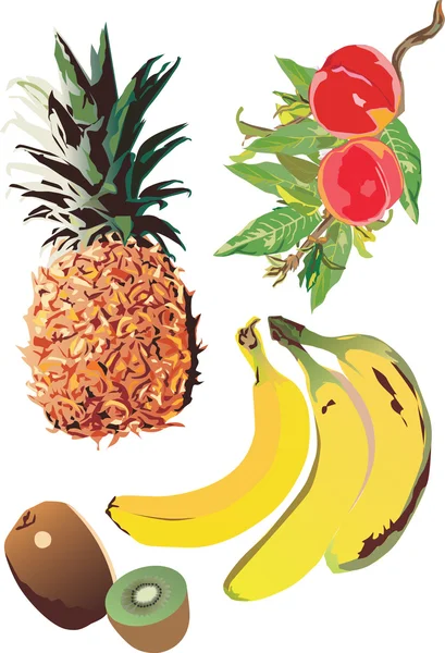 Illustrazione con frutti tropicali — Vettoriale Stock