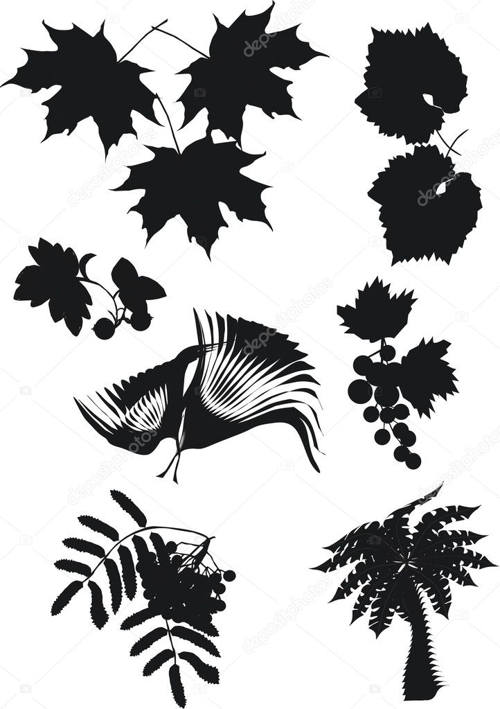 Foliage silhouette collection