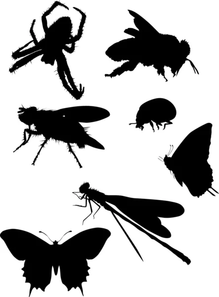 Bijen en andere insecten silhouetten — Stockvector