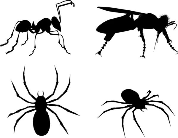Mravenců, včel a spider — Stockový vektor