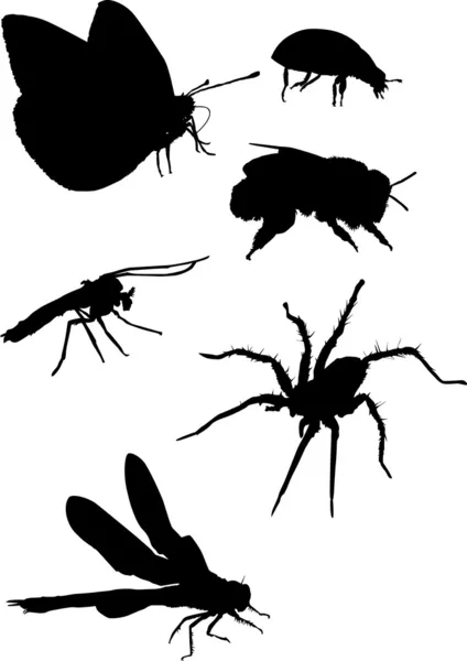 Mosquito y otras siluetas de insectos — Vector de stock
