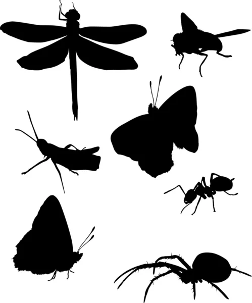 Spinne und andere Insektensilhouetten — Stockvektor