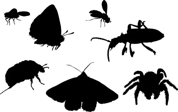Бабочки, пауки, жуки и мухи — стоковый вектор