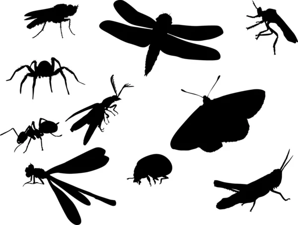 バグおよびその他の昆虫のシルエット — ストックベクタ